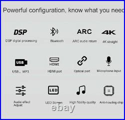 Bluetooth digital amplifier effector, Karaoke Mixer, integrated microphone