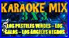 Karaoke-MIX-Los-Pasteles-Verdes-Los-Galos-Los-Ngeles-Negros-01-ublb